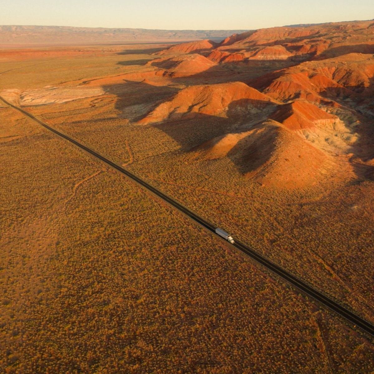Comercio en transición Oportunidad en un mundo de “esperar y ver”