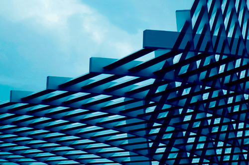 Crecer en medio de la disrupción