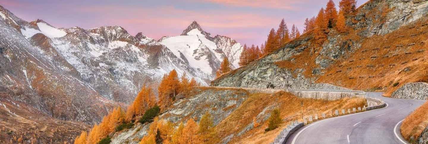 insight featured image