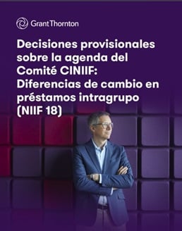 Decisiones provisionales sobre la agenda del Comité CINIIF: